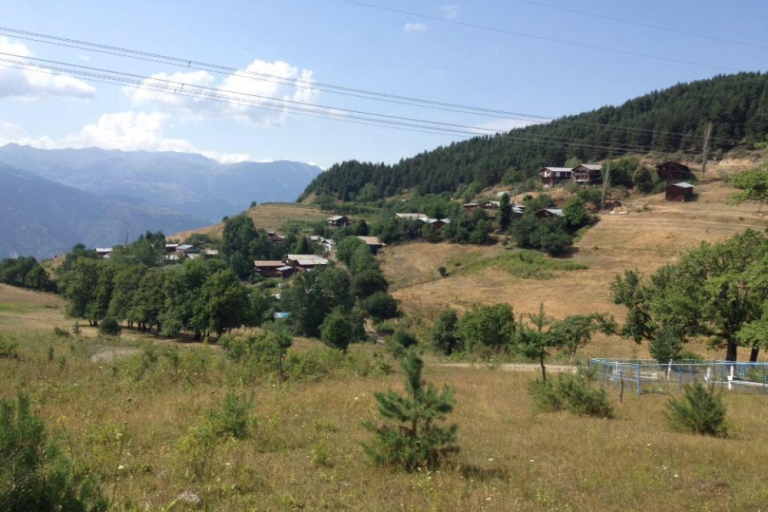Kayabaşı Köyü