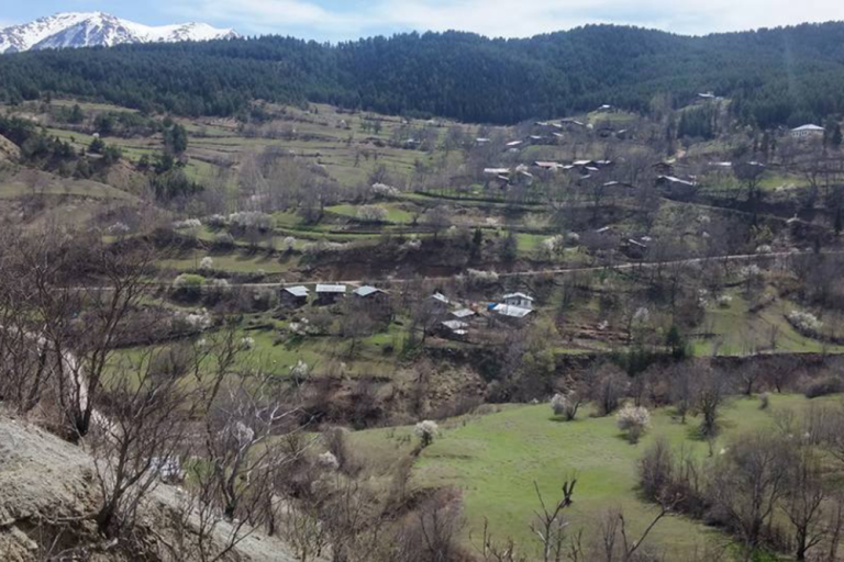 Ziyaret Köyü
