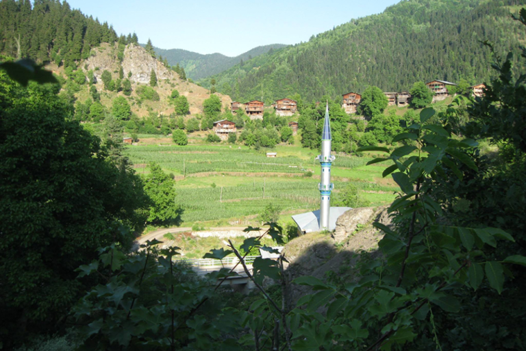 Erikli Köyü