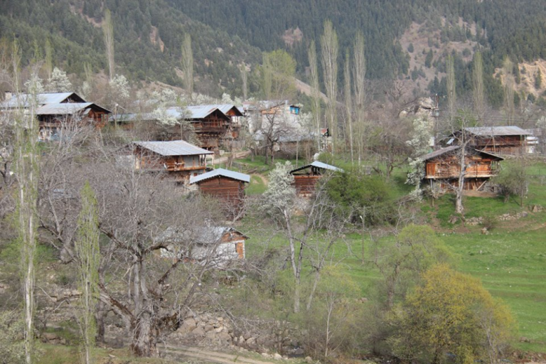 Cevizli Köyü