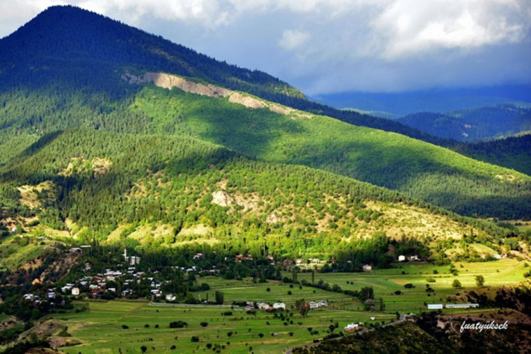Ciritdüzü Köyü