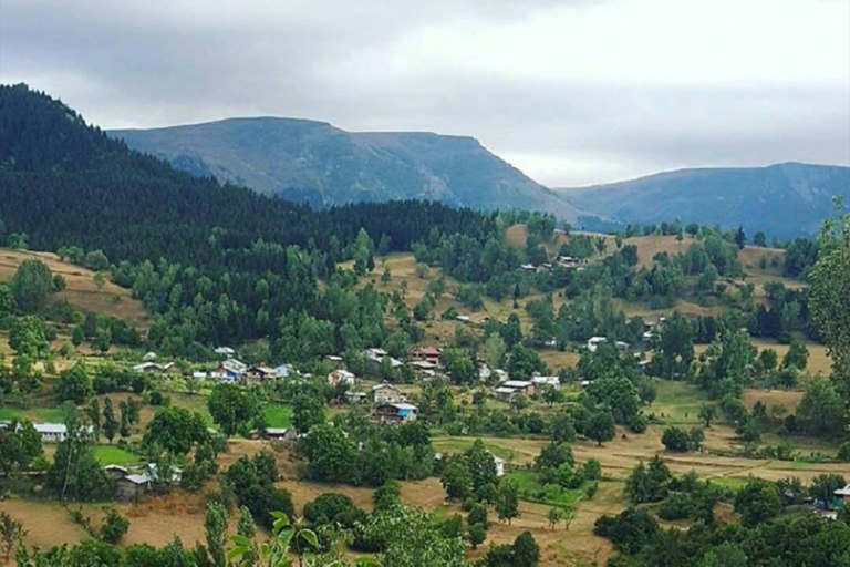 Aşağı Koyunlu Köyü