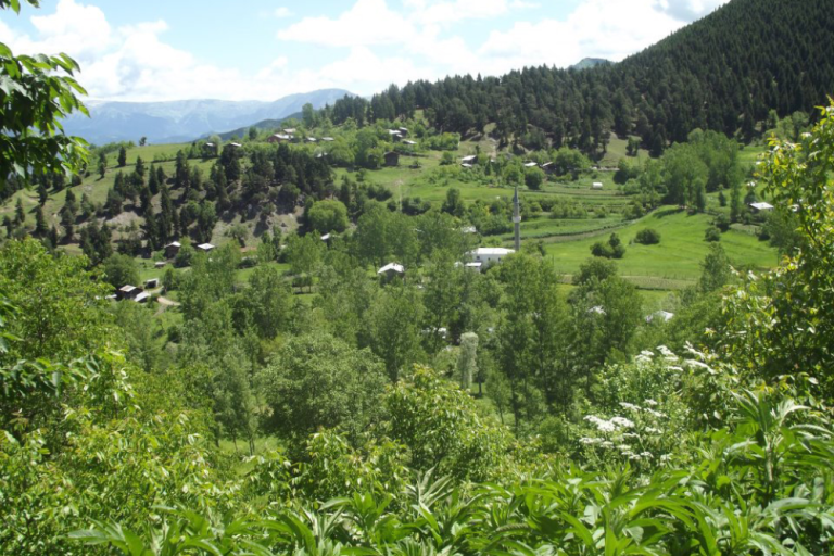 Yamaçlı Köyü