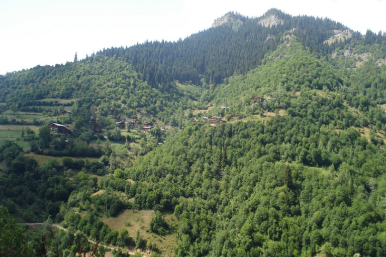 Çağlıpınar Köyü